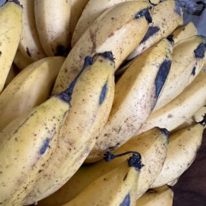 WhatsApp Image 2024-07-23 at 3.38.27 PM (1)