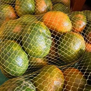 WhatsApp Image 2024-07-23 at 3.38.27 PM