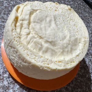 WhatsApp Image 2024-07-23 at 3.41.11 PM