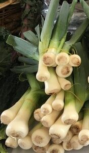 WhatsApp Image 2024-07-23 at 9.15.15 AM (1)