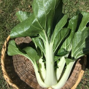 WhatsApp Image 2024-07-23 at 9.15.15 AM (2)