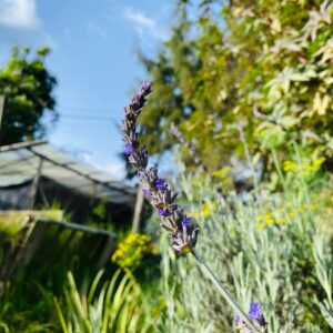 WhatsApp Image 2024-07-23 at 9.57.30 AM (1)