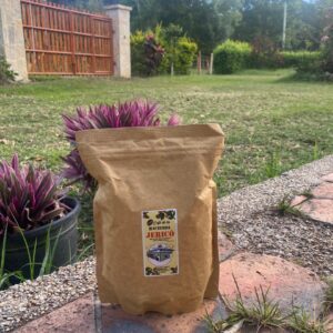 WhatsApp Image 2024-07-26 at 10.24.37 AM (1)